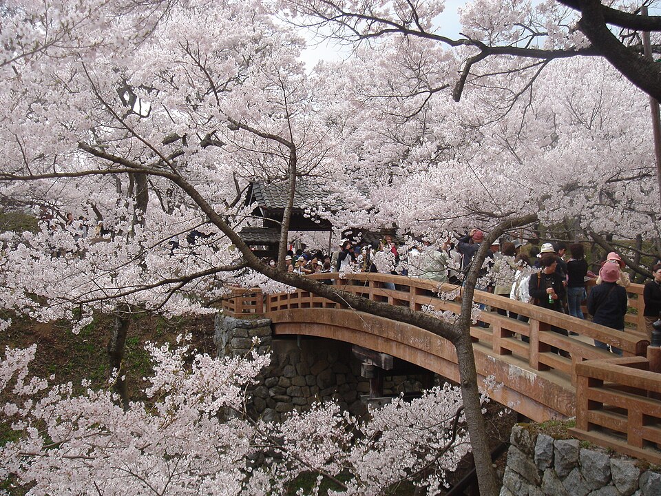 Fayl:TakatoCastle（高遠城）.JPG