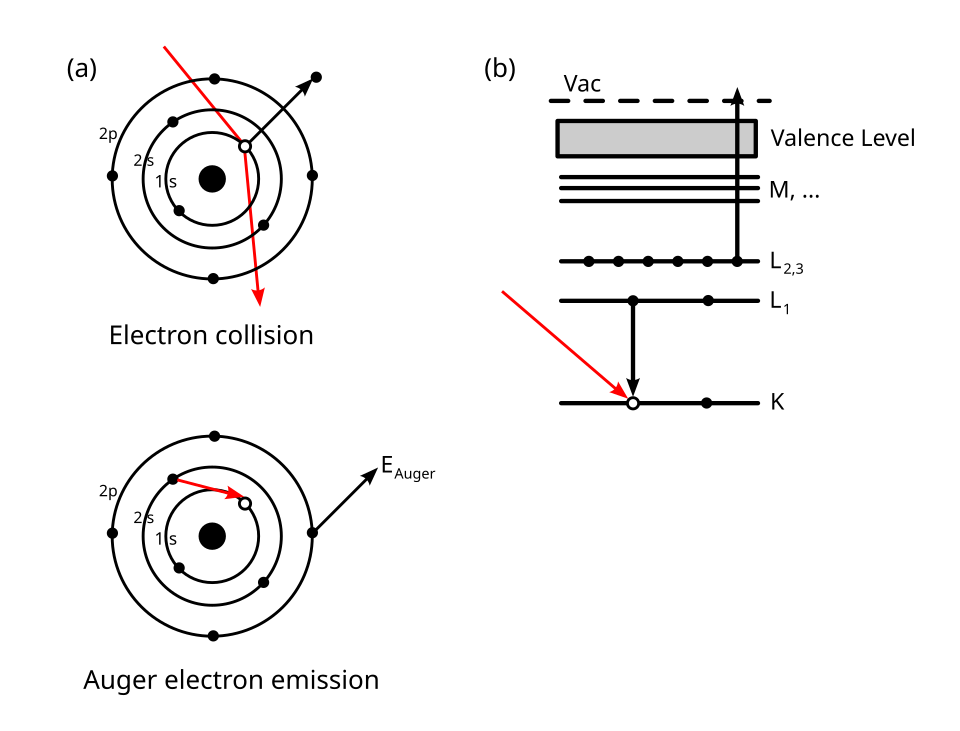 Fayl:Auger Process.svg