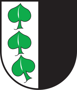 Fayl:CHE Scharans COA.svg
