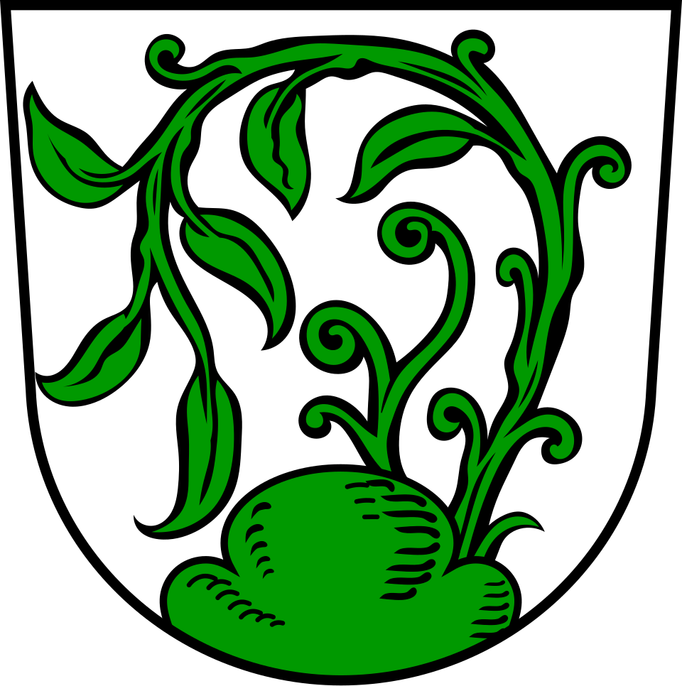 Fayl:DEU Erbes-Büdesheim COA.svg