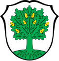 Altenstadt (Iller)