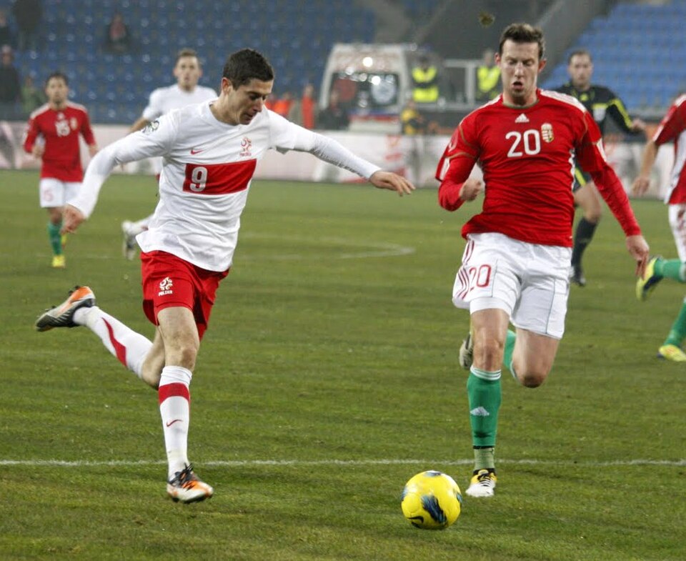Fayl:Robert Lewandowski 2011 (2).jpg