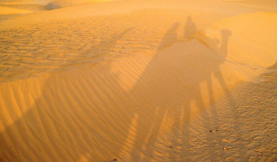 Fayl:Tunisia Sahara.jpg