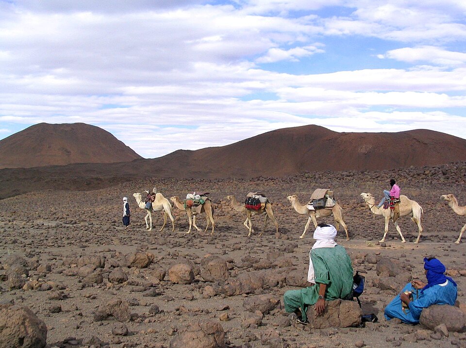 Fayl:Caravane hoggar1.jpg
