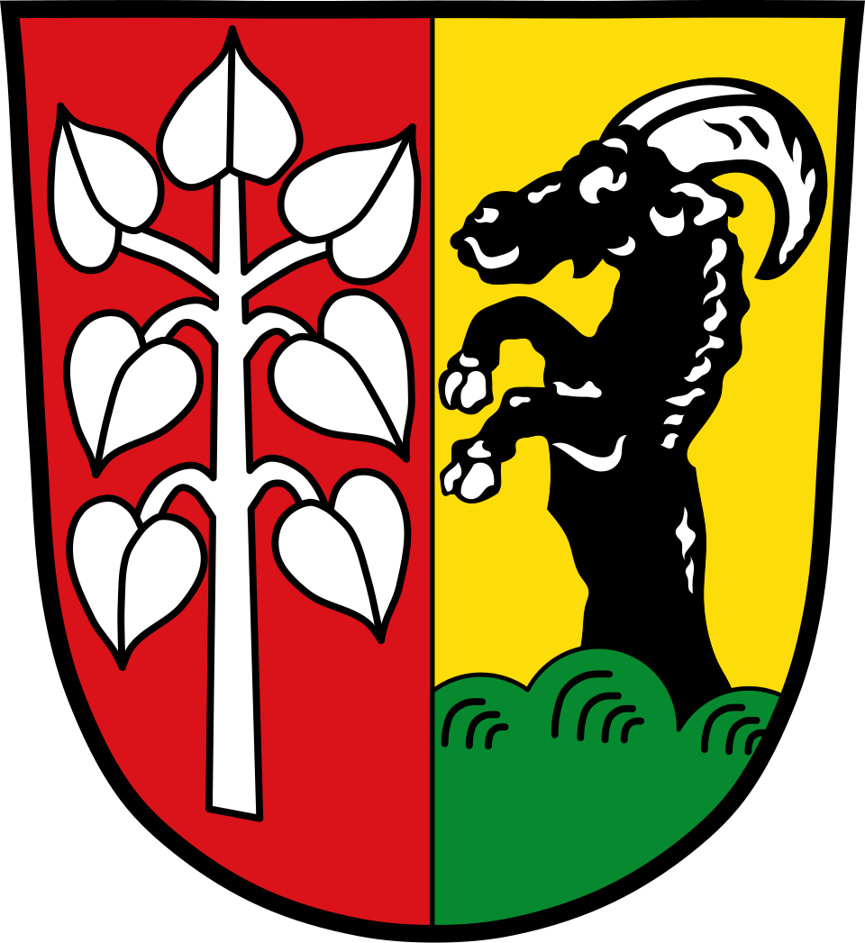 Fayl:DEU Schwifting COA.svg