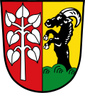 Schwifting
