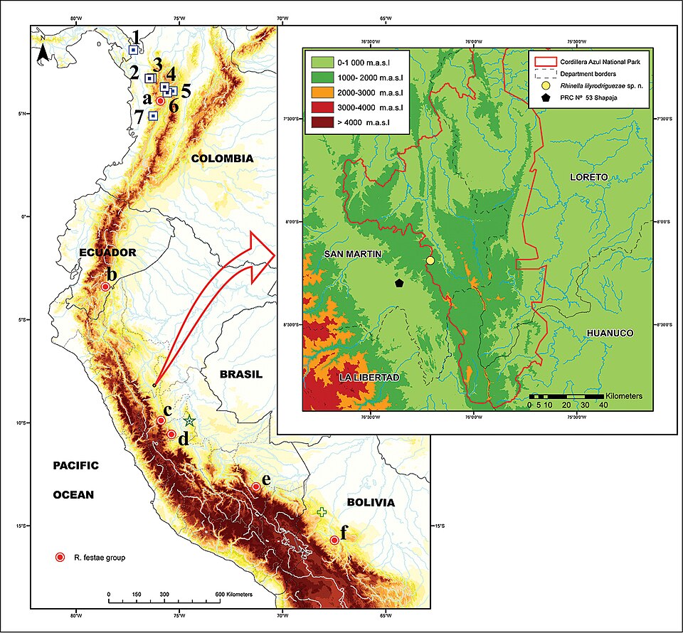 Fayl:Distribution map of Rhinella lilyrodriguezae.jpg