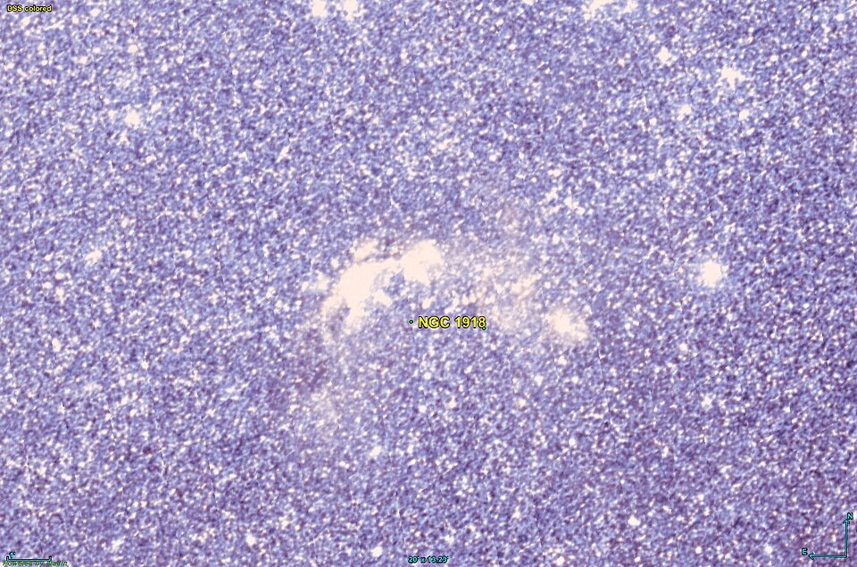 Fayl:NGC 1918 DSS.jpg