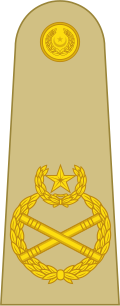 Fayl:OF-10 Pakistan Army.svg