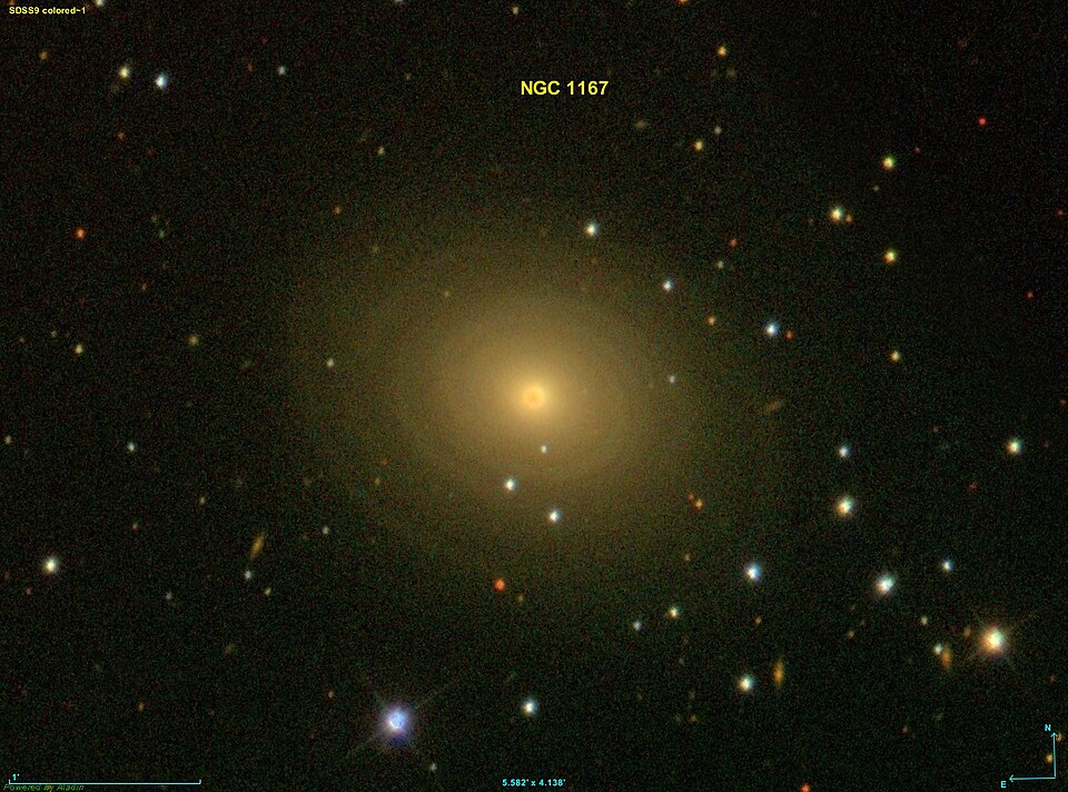 Fayl:NGC 1167 SDSS.jpg