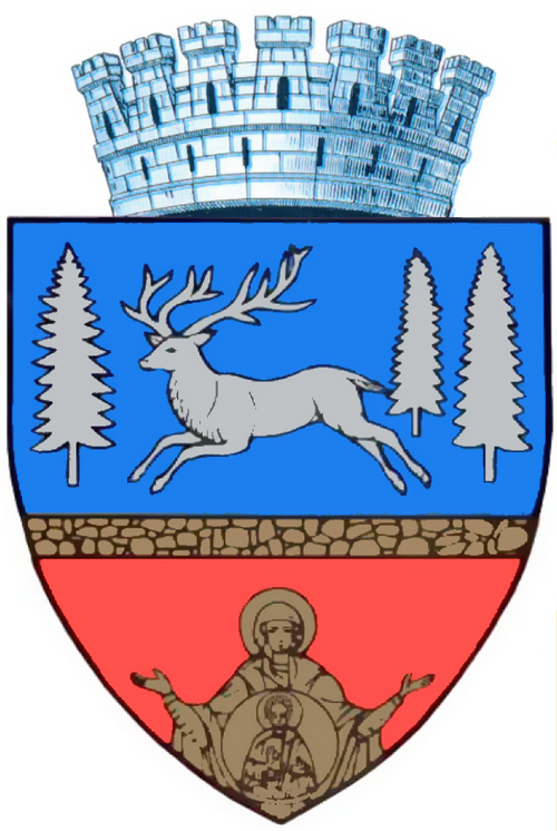 Fayl:ROU BC Bacau CoA.png