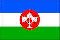 Flag of Chotýšany