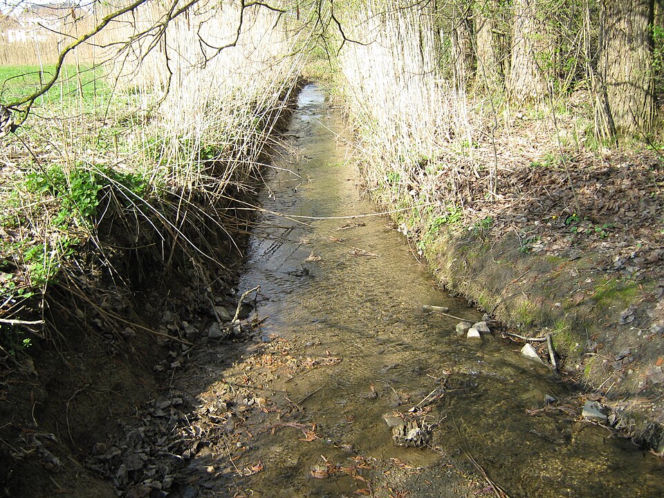 Fayl:Aiterach (Oberlauf).jpg