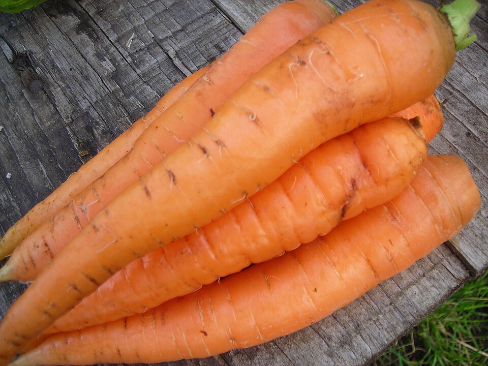 Fayl:Carrots.jpg