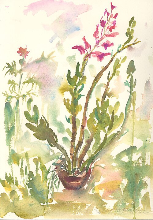 Fayl:Dendrobium Orchid.jpg