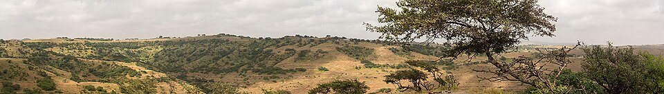 Fayl:Dhofar Oman Banner.jpg
