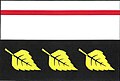 Flag of Březské