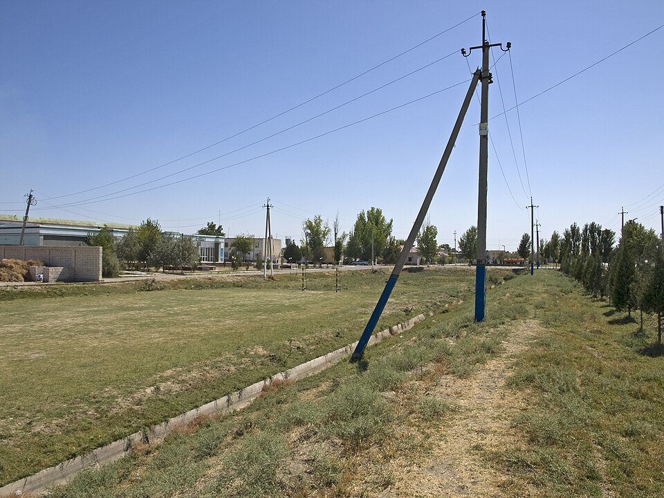 Fayl:Sirdaryo fields.jpg