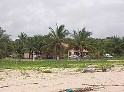 Skyline of Awala-Yalimapo