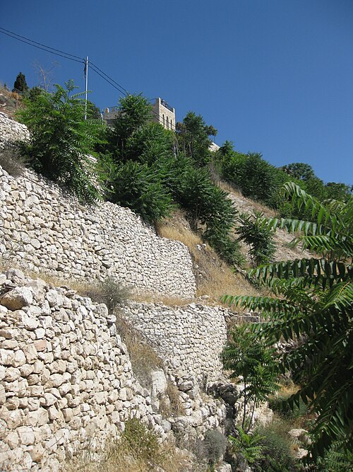 Fayl:JW IMG 4893.JPG