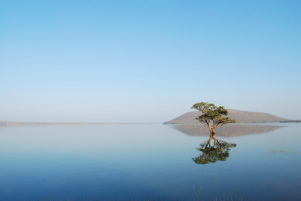 Fayl:Pakhal Lake Telangana.jpg