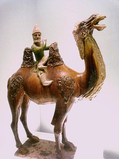 Fayl:Westerner on a camel.jpg