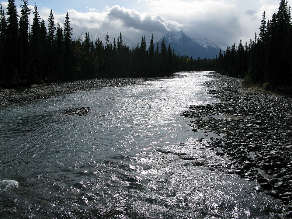 Fayl:WhirlpoolRiverAB2.JPG