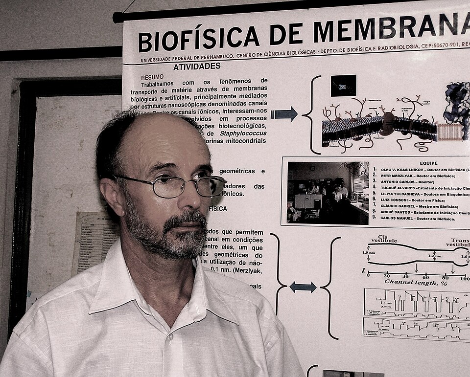 Fayl:Олег Владимирович Красильников 2005.jpg