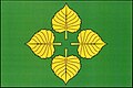 {{{rasmiy_nomi}}}ning bayrogʻi