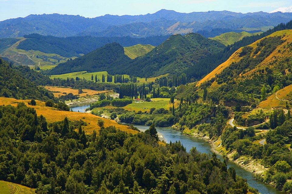 Fayl:Whanganui River.jpg