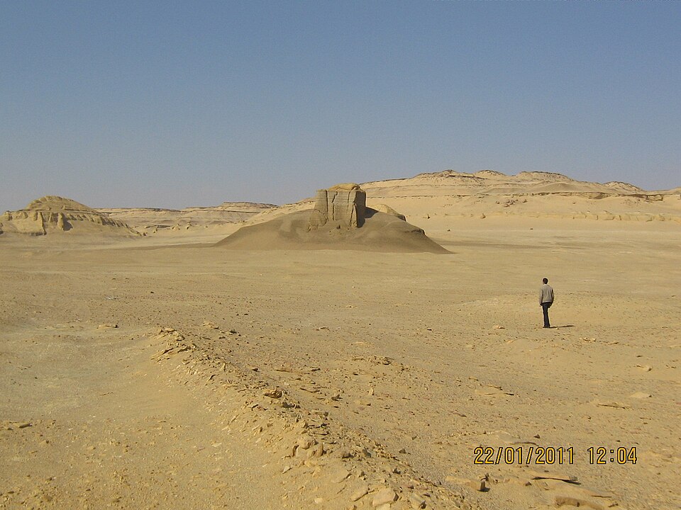 Fayl:رحلة للشاطئ الشمالى لبحيرة قارون.jpg