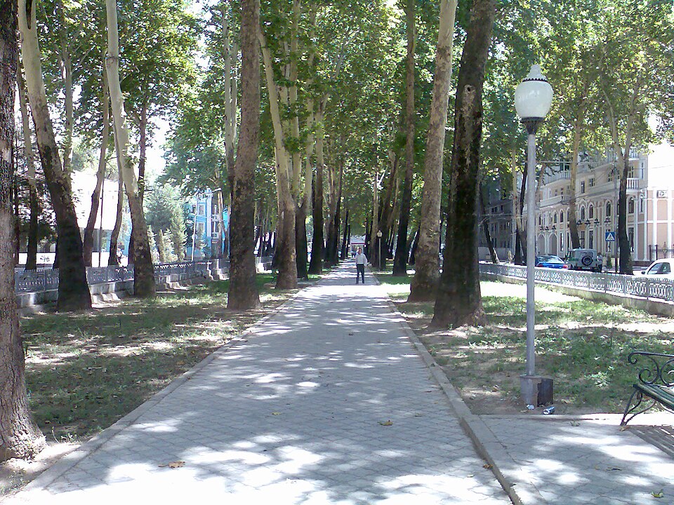 Fayl:Проспект Рудаки. Душанбе. 2008.jpg