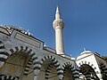 Minora