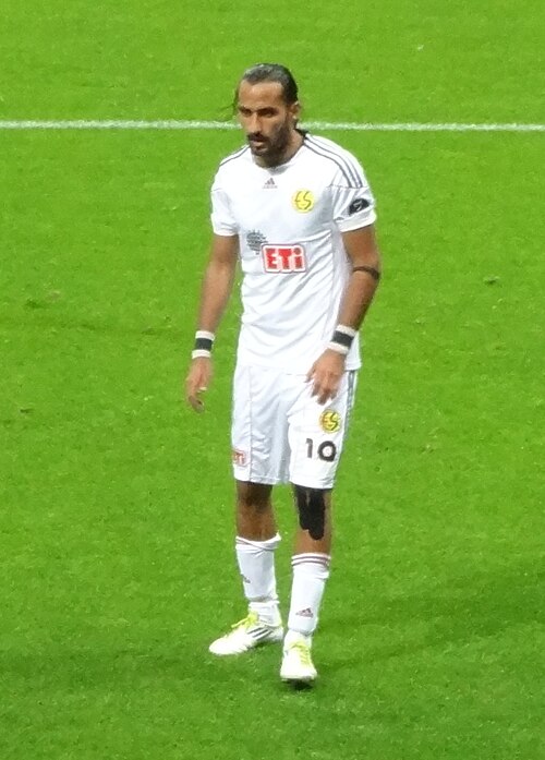 Fayl:Erkanzengin.jpg