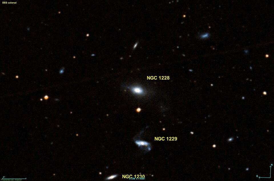 Fayl:NGC 1228 DSS.jpg