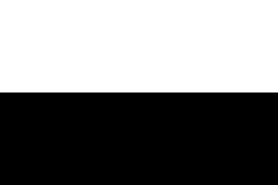Fayl:Flag of Siena.svg