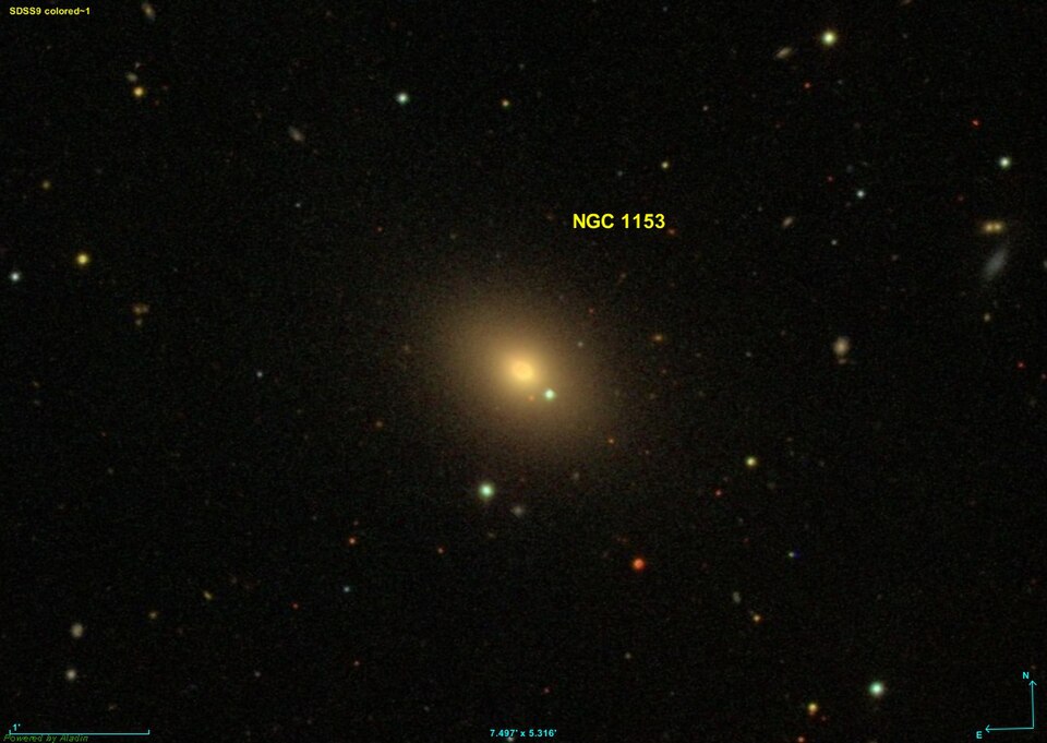 Fayl:NGC 1153 SDSS.jpg