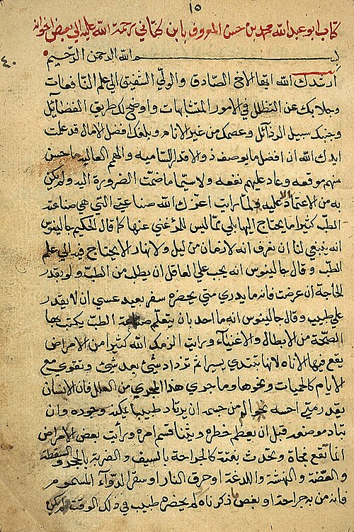 Fayl:Tratado médico de Al-Katanni.jpg