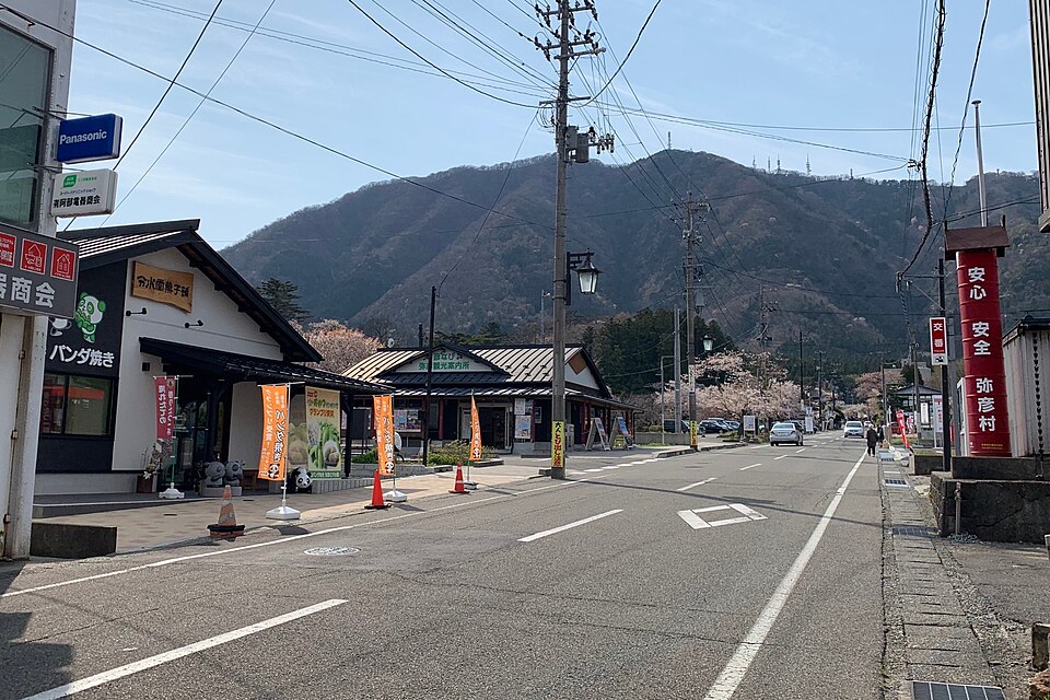 Fayl:Yahiko Gaienzaka-dori Street April2020.jpg