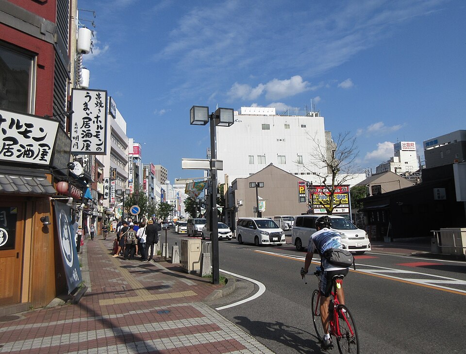 Fayl:Higashiokazakiekimae-Dori-6.jpg