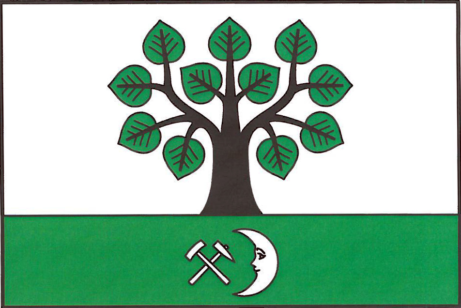Fayl:Nedabyle Flag.jpg