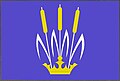 {{{rasmiy_nomi}}}ning bayrogʻi