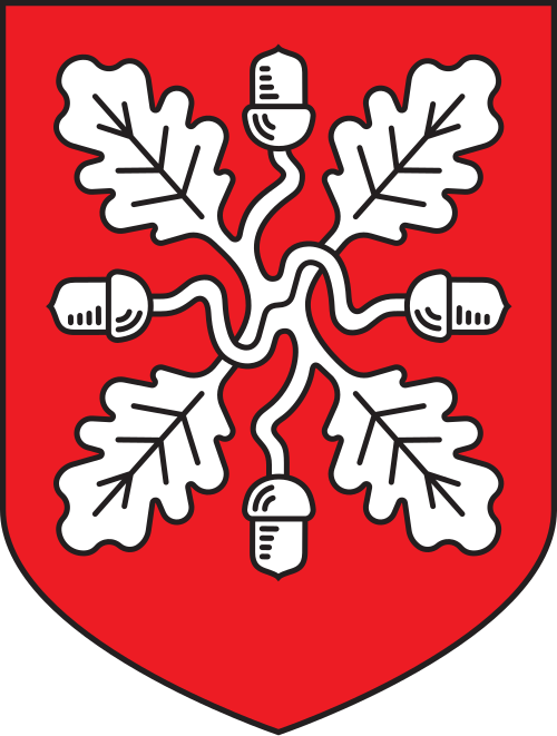 Fayl:Saue valla vapp.svg