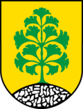 Schwerz