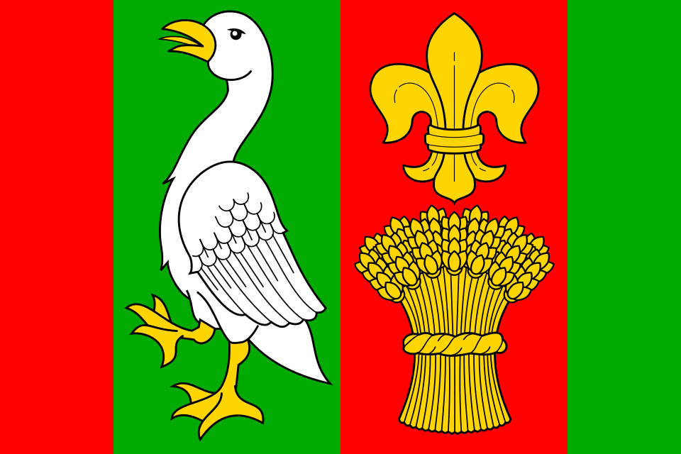 Fayl:Flag of Husí Lhota CZ.svg