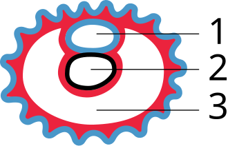 Fayl:Gray24.svg