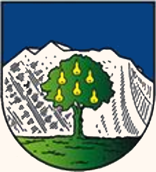 Fayl:AUT Wals-Siezenheim COA.png