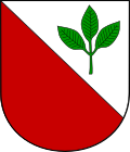 Bučina