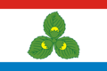 Krasnoznamenskiy