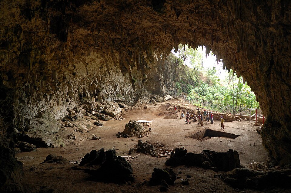 Fayl:Homo floresiensis cave.jpg